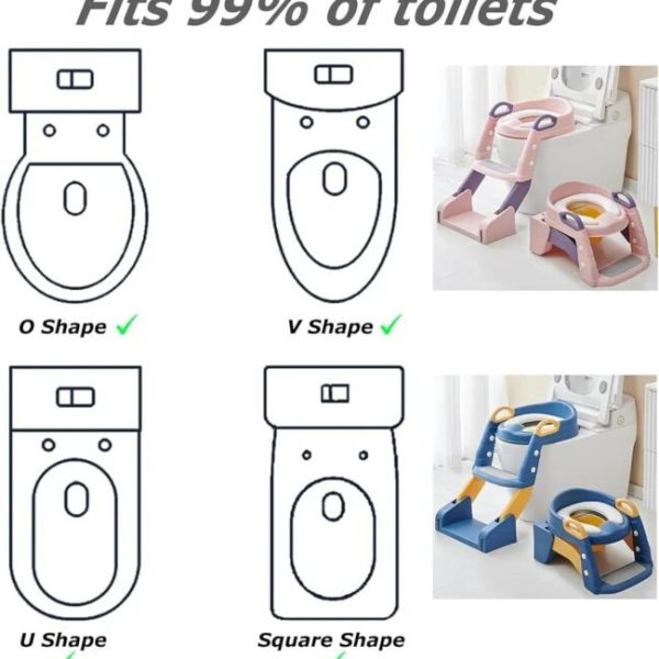 Toilet ladder