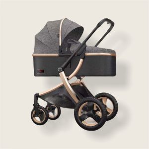 2-in-1 baby stroller