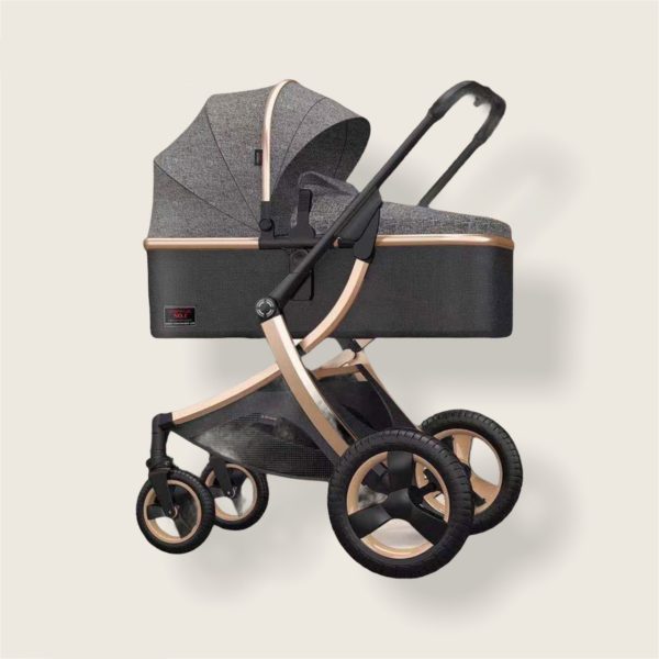 2-in-1 baby stroller
